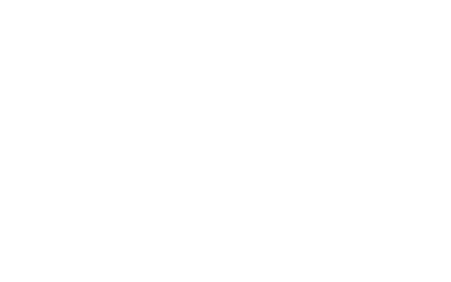 Synthesis Pinheiros