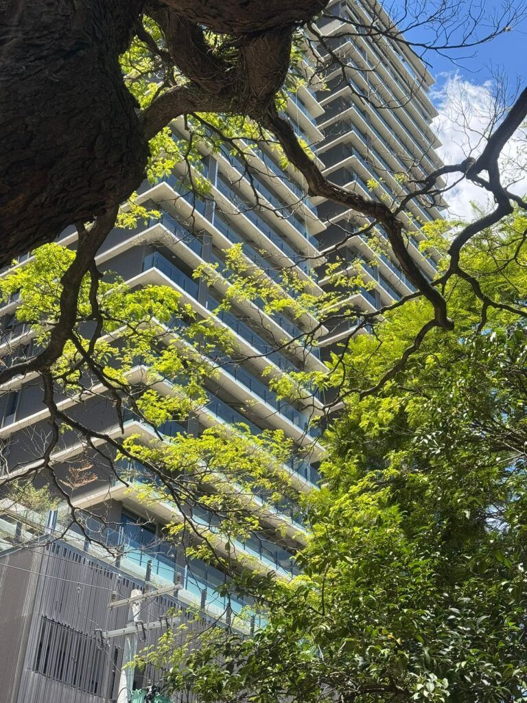 Fotos Do Park Avenue Ibirapuera Pronto Para Morar Ultimas Unidades A Venda Foto 17