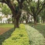 Praca Carlos Gardel Rua Curitiba Ibirapuera 3 1