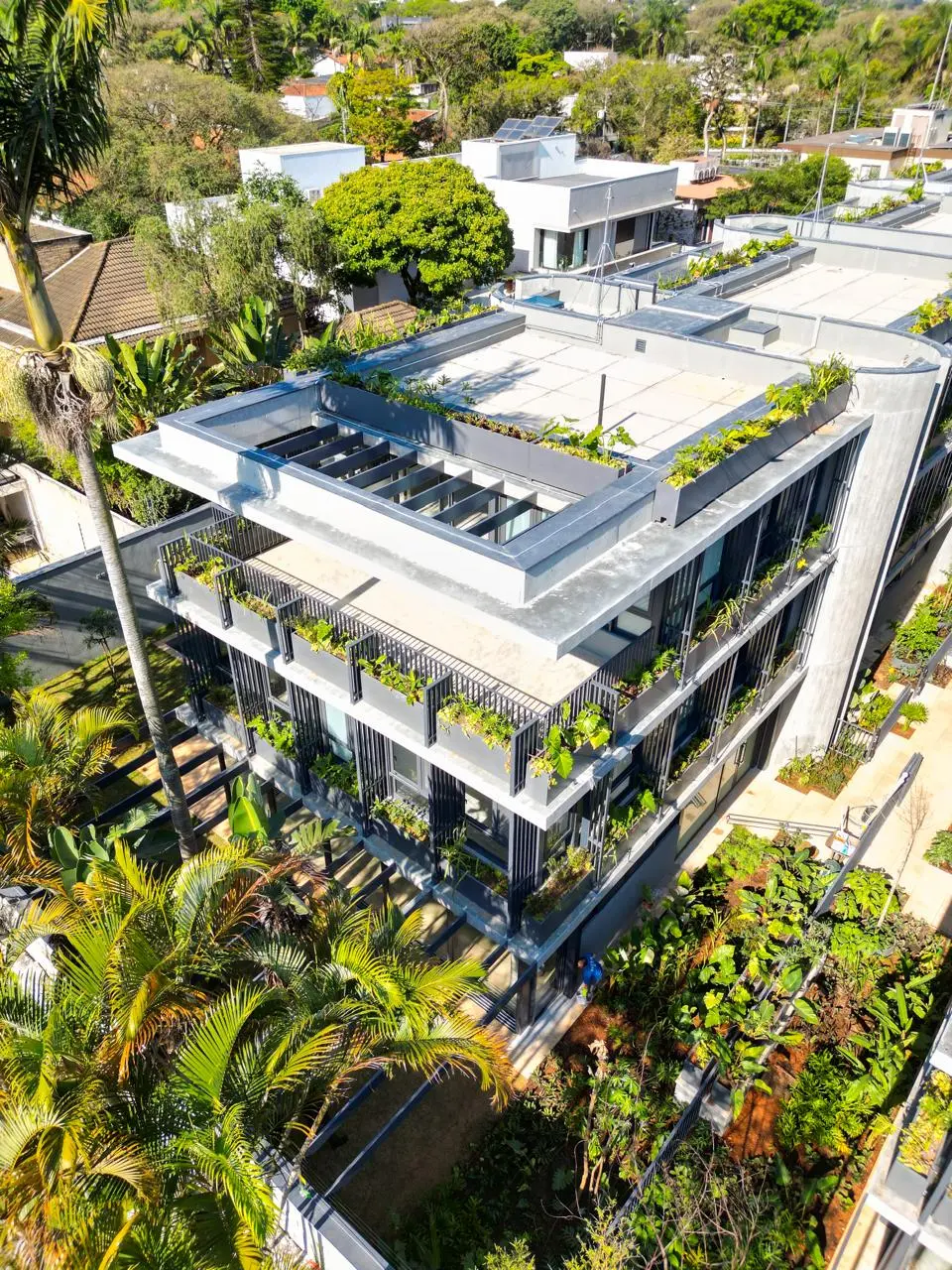 relva-alto-de-pinheiros-vista-aerea-casa-com-laje-tecnica-e-pergolado