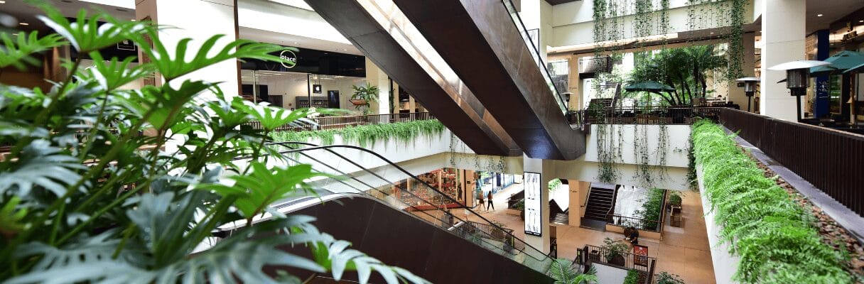Shopping Cidade Jardim Em São Paulo, Com Jardins Suspensos E Lojas De Luxo
