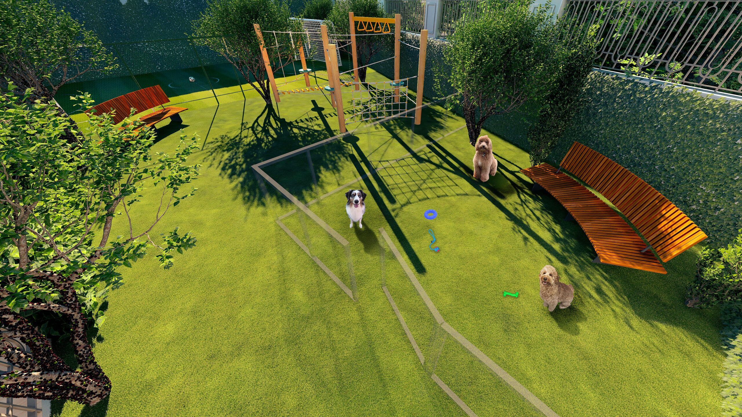 Harmonie - Pet place + Campo gramado