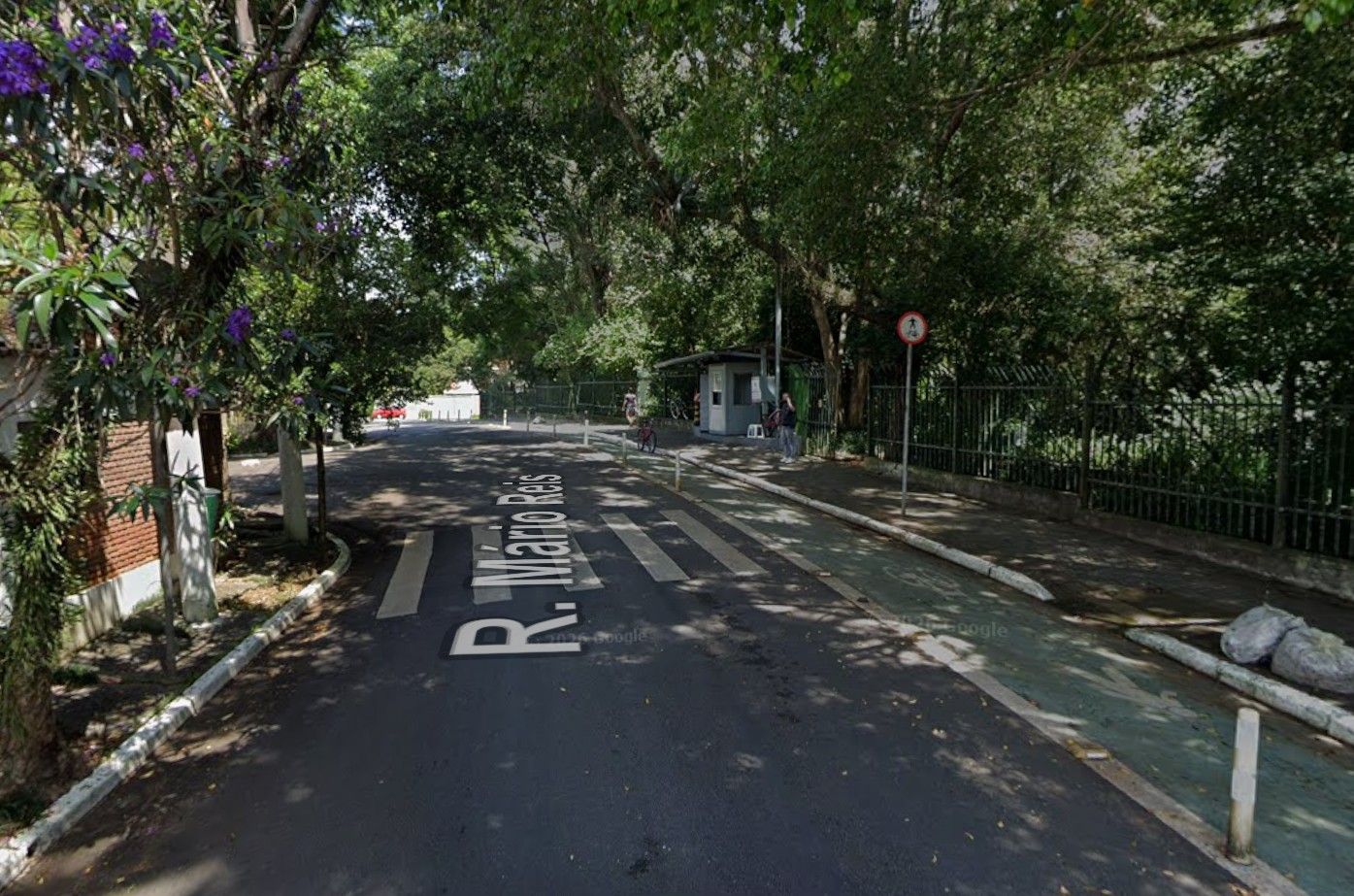 Rua Arborizada No Entorno Da Hípica Santo Amaro Em São Paulo