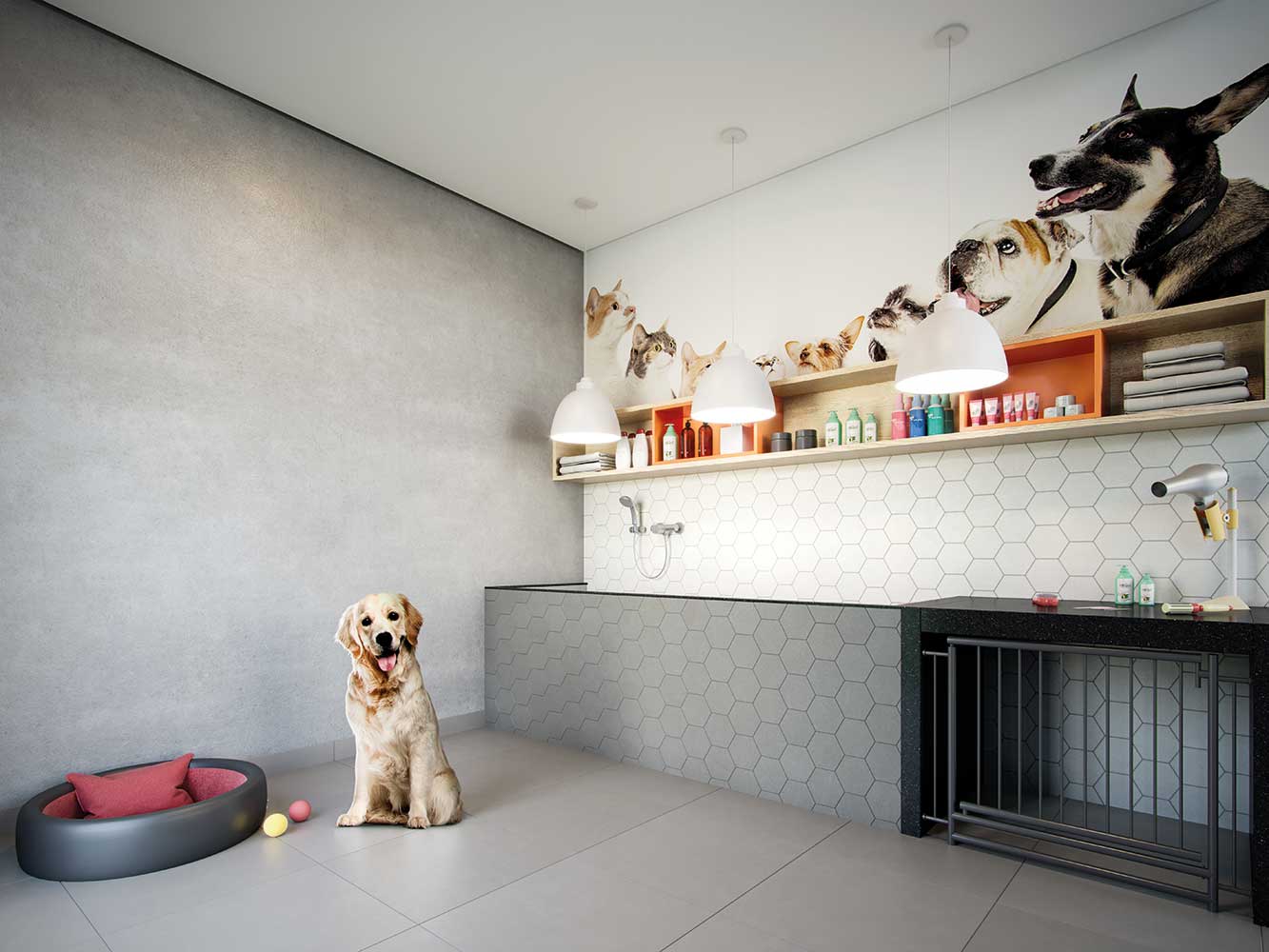 dream-view-vila-prudente-pet-care-big