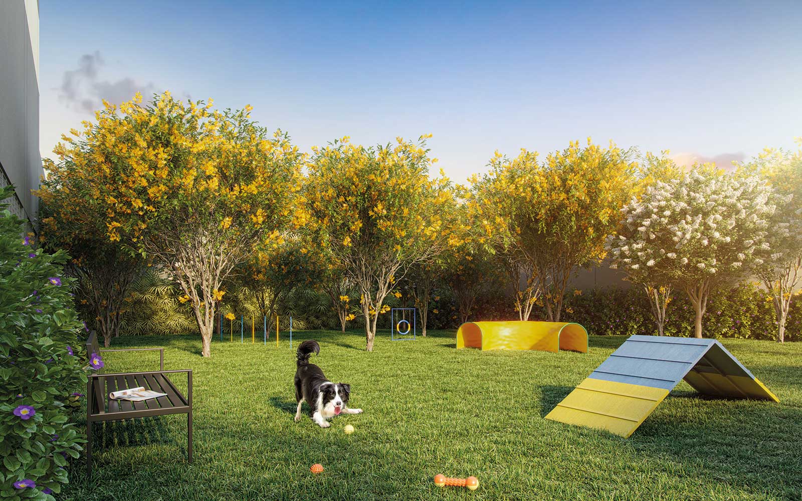dream-view-vila-prudente-pet-place-big