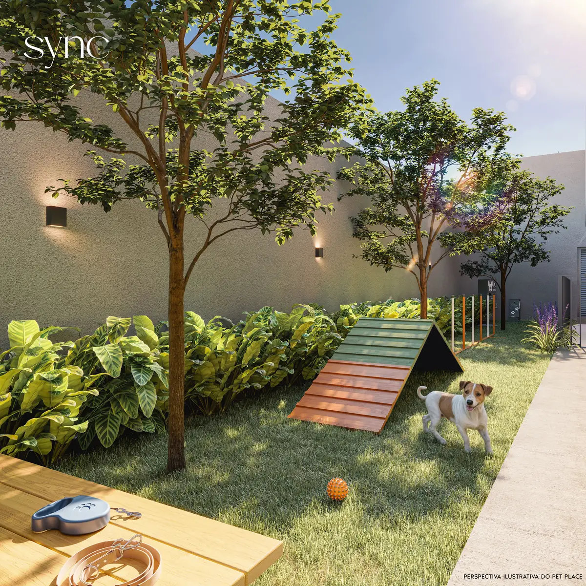 sync-ibirapuera-pet-place-paraiso