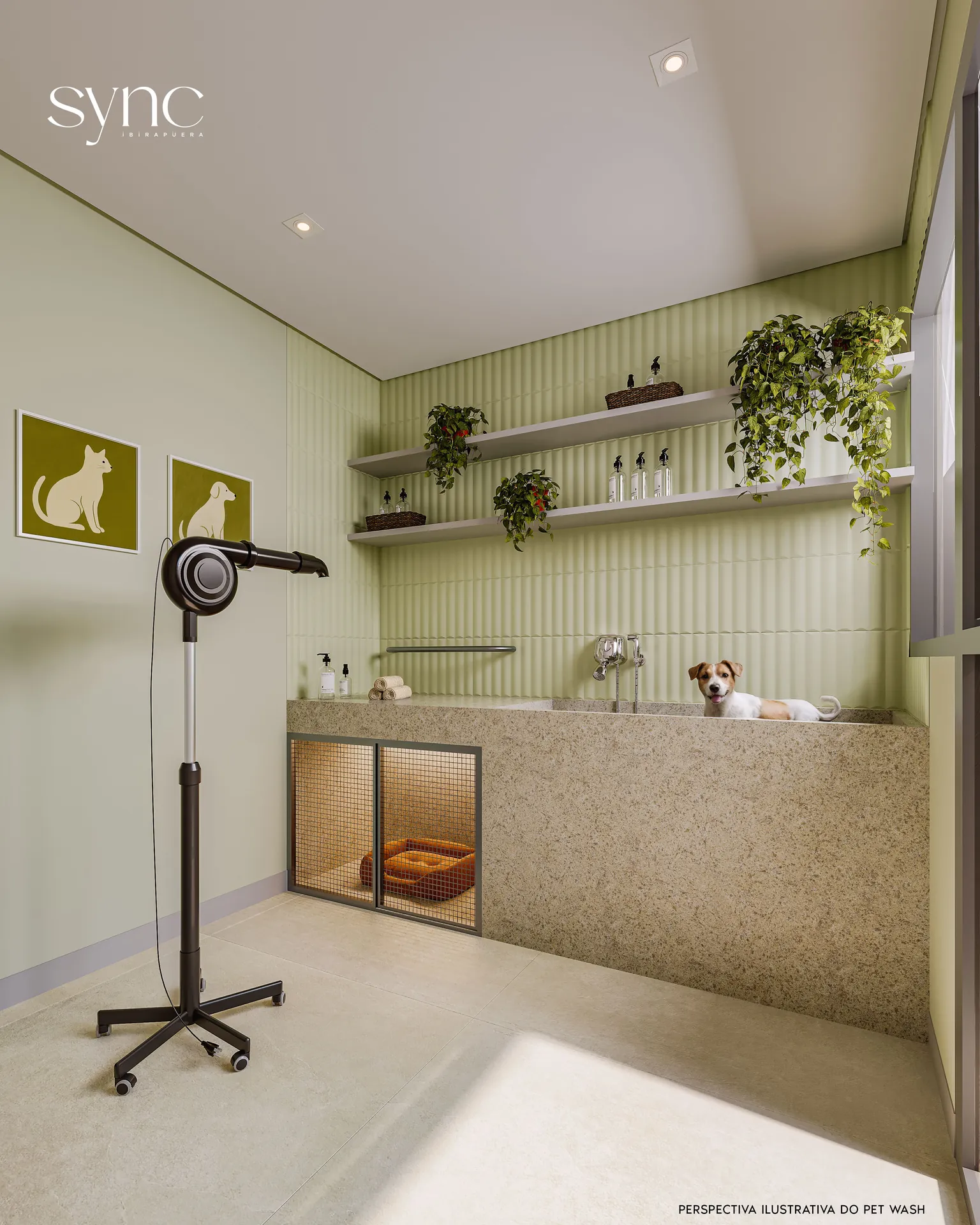 sync-ibirapuera-pet-wash-paraiso